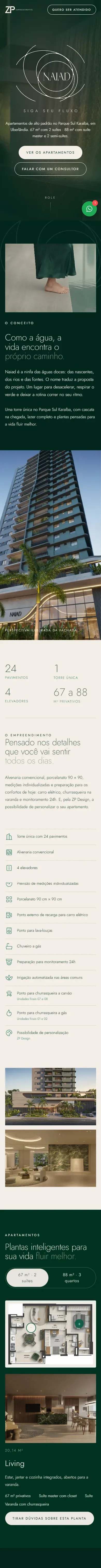 Real capture of the Naiad, da ZP Empreendimentos mobile website
